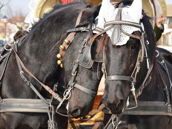 Balade à cheval