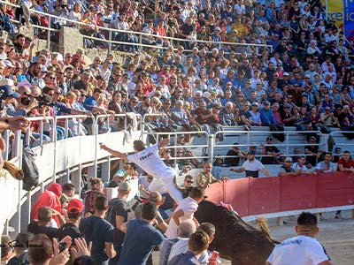 Aux Arènes d'Arles